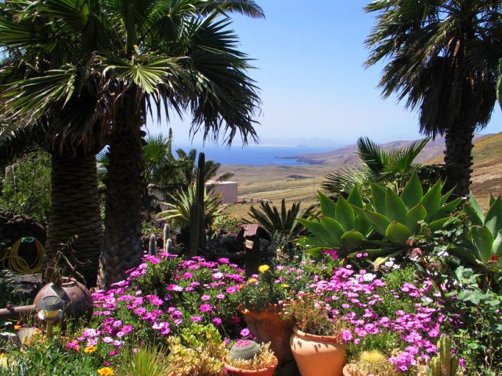 Kanarische Finca mit Pool und tollem Meerblick — Finca