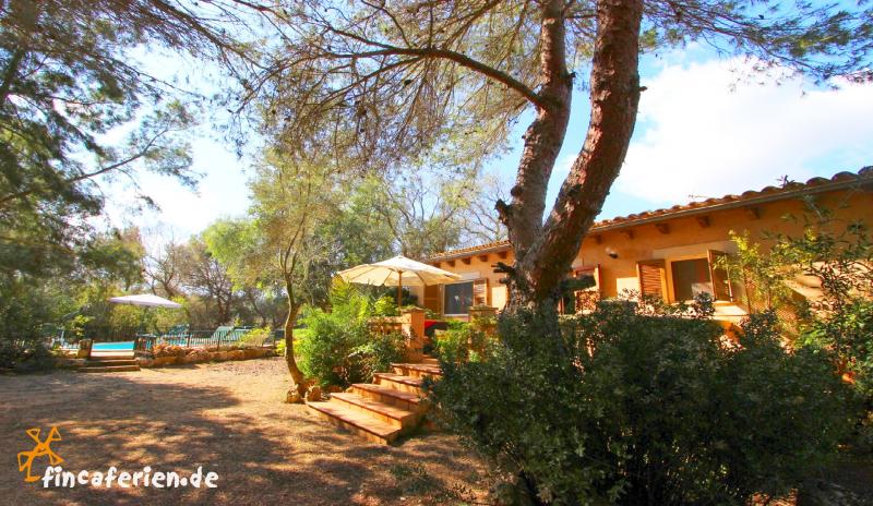 Mallorca Finca mit Pool (kindersicher) bei Campos (Finca 3018
