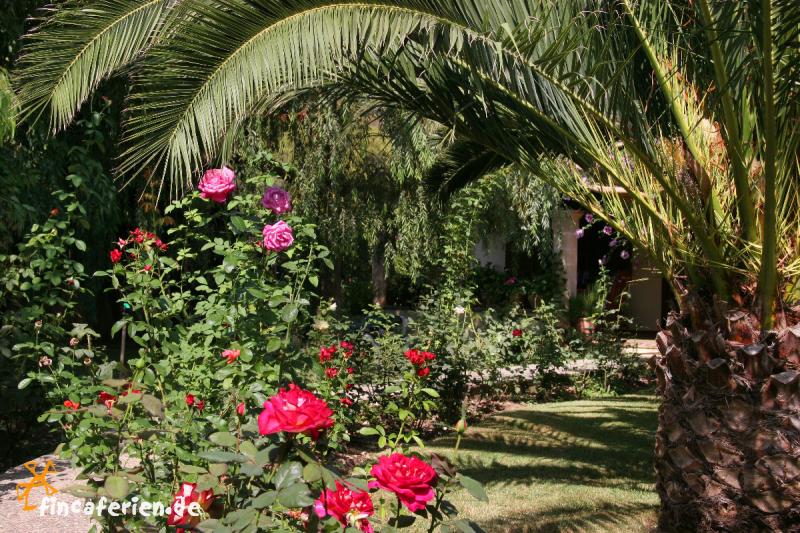 Pollenca Relaxen im Ferienhaus mit idyllischem Garten