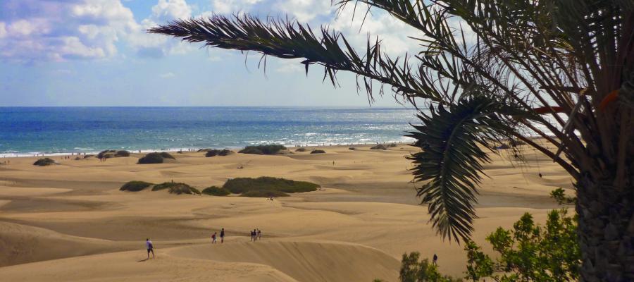 Blick auf die Dünen von Maspalomas