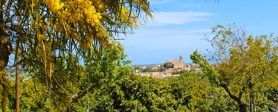 Panoramablick Mallorca bis Sineu