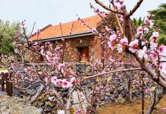 Kleines Ferienhaus für 2 Personen Wanderurlaub auf El Hierro (Nr. 1113)