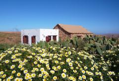 Günstiges Ferienhaus auf Fuerteventura - Betancuria  (Nr. 0967)