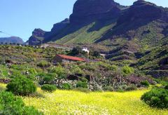 Finca in ruhiger Lage nahe Tasarte (Nr. 0947)