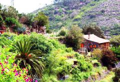 Gemütliche Finca - Urlaub La Gomera  (Nr. 2038)