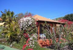 Ferienhaus bei Puerto Naos mit Internetanschluss (Nr. 0818)