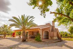 Finca mit Pool - Mallorca Urlaub bei Can Picafort (Nr. 3153)