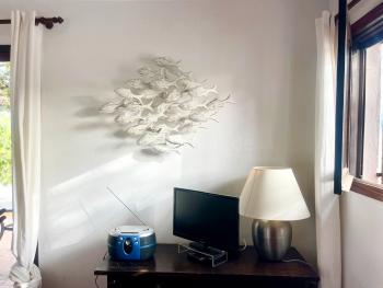 SAT-TV