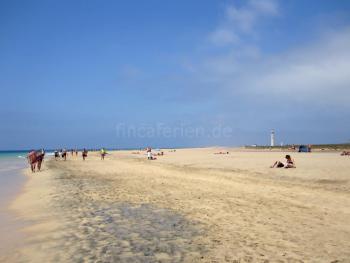 Sandstrand und Leuchtturm - Playa Jandia