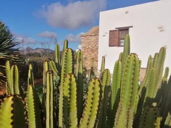 Relaxen im Urlaub auf Fuerteventura