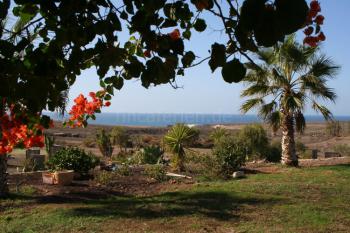 Fuerteventura Alternativ Urlaub