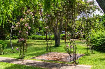 Garten mit Rosen und Rasenflächen