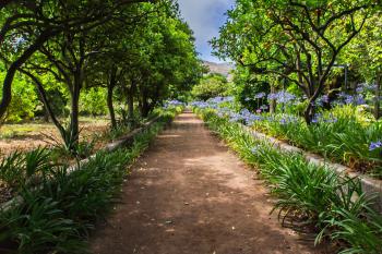 Wundervolle Gartenanlage 