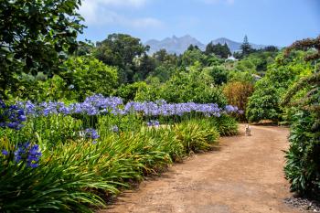 Finca in ruhiger Lage nahe Santa Brigida