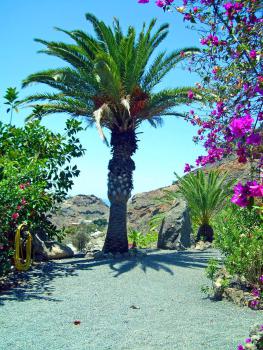 Gran Canaria Ferienwohnung - ruhige Lage