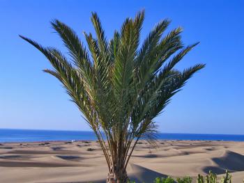 Strandurlaub Playa del Ingles