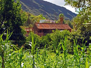 Kleine Finca mit Internet W-LAN