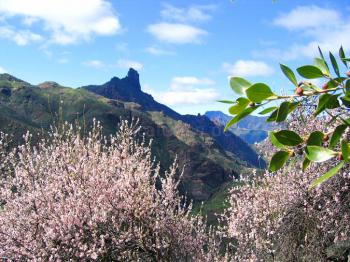 Blick in das Tal