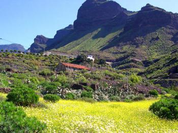 Komfortable Finca in ruhiger Lage