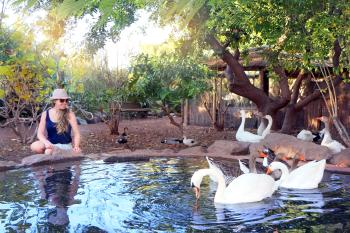 Teich im Garten Teich im Garten