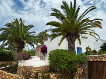 Authentische Finca auf Ibiza mit Salzwasserpool