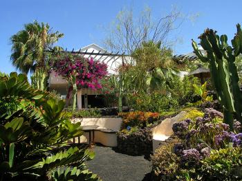 Gartenanlage - Apartment Lanzarote
