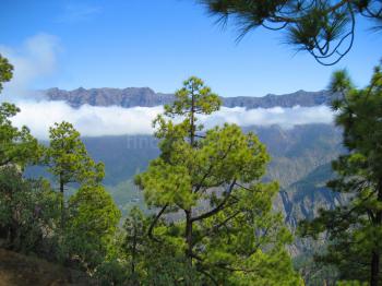 La Palma über den Wolken