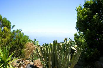 Kleines Ferienhaus La Palma