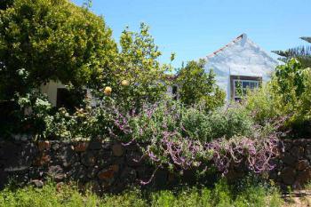 La Palma Finca im Grünen