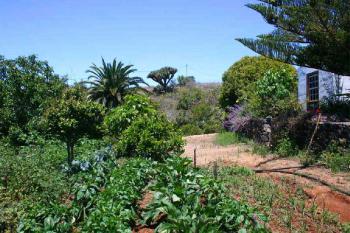 Gemüsegarten der Finca