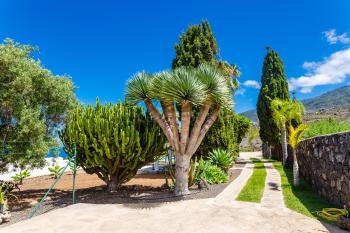 Ferienhaus mit Garten und Pool