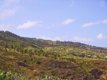 Landschaft von La Palma