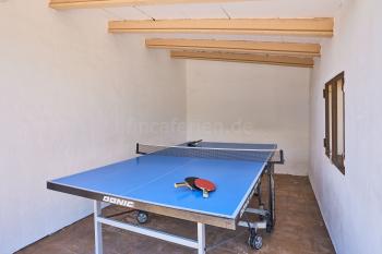 Tischtennisplatte