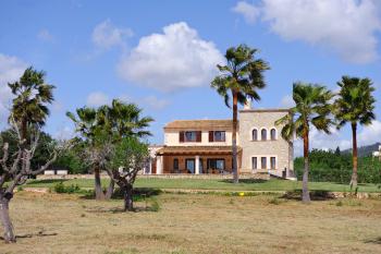 Finca mit Palmen