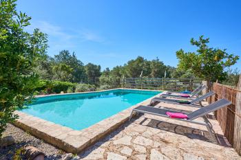 Pool und Poolterrasse