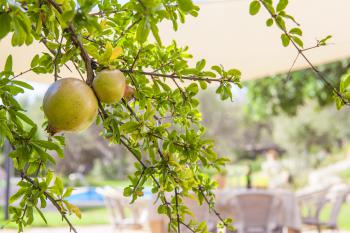 Mallorca Urlaub in Strandnähe - Cala Millor