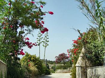 Langzeitmiete Cala d'Or