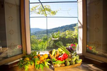 Ferienhaus mit tollem Blick auf Soller