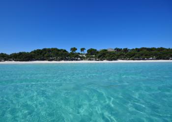 Toller Sandstrand - Playa de Alcudia