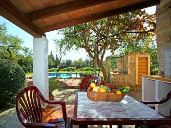 Überdachte Terrasse mit Blick in den Garten