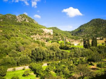 Apartments nahe des Tramuntana Gebirges