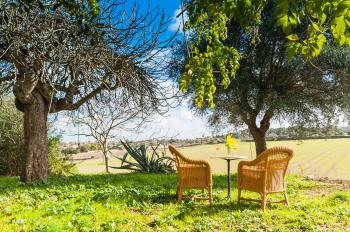 Viele Aufenthaltsmöglichkeiten im Garten