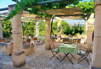 Lauschige Terrasse