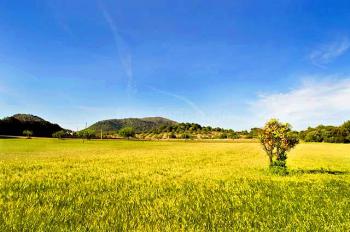  Hinterland der strandnahen Finca 