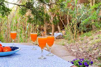 Garten und Terrasse der Finca