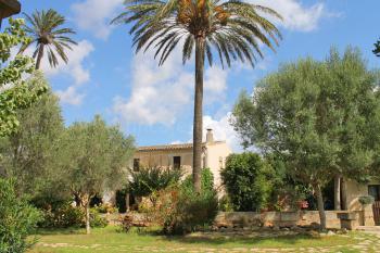 Mallorquine Finca mit Pool