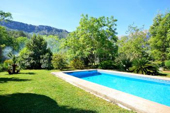 Pool, Rasen und mediterraner Garten 