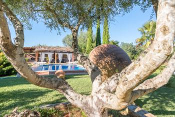 Pool im Garten