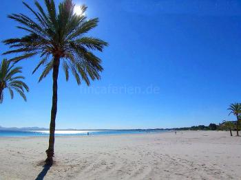 Strandurlaub Mallorca - Strand von Alcudia