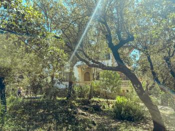 Finca mit Privatsphäre